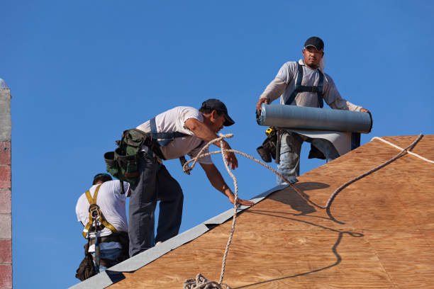 Best Local Roofing Companies  in St Paul, NE