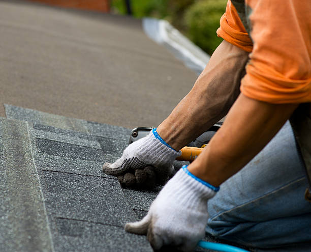 Best New Roof Installation  in St Paul, NE