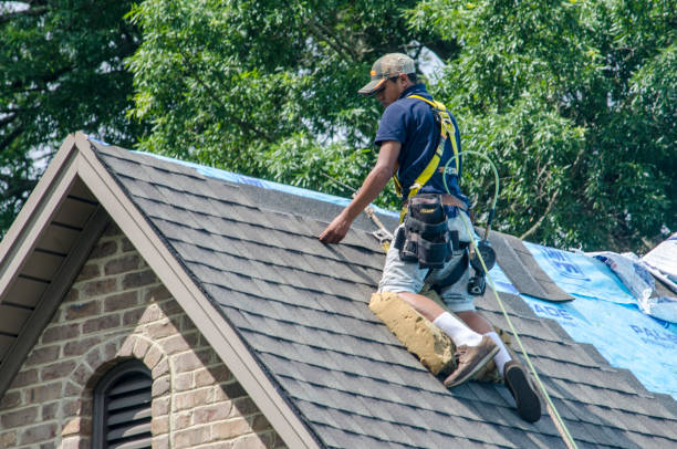 Best Flat Roof Repair Services  in St Paul, NE